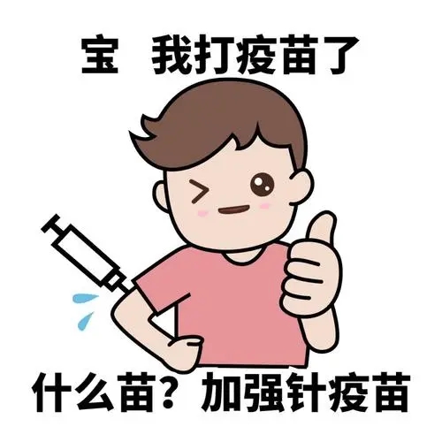 紙托盤