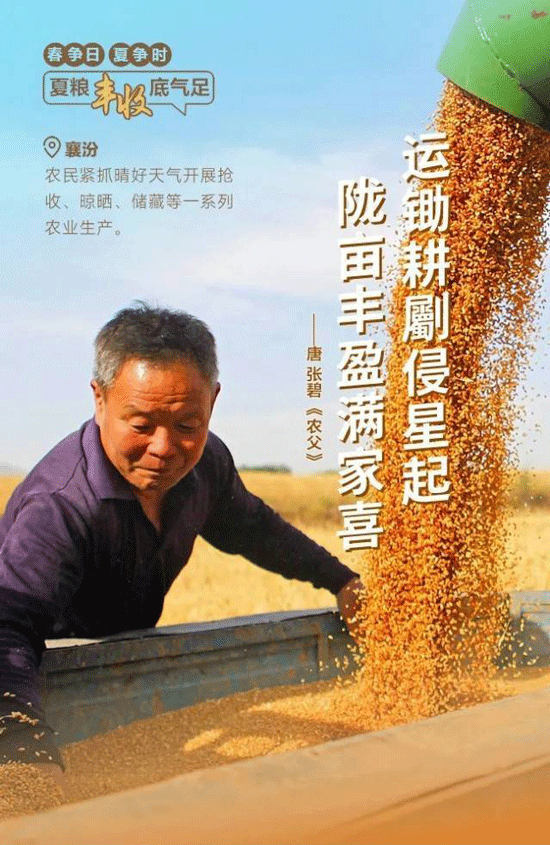 紙托盤