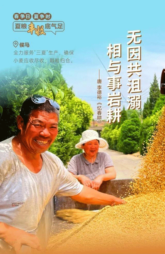 紙托盤