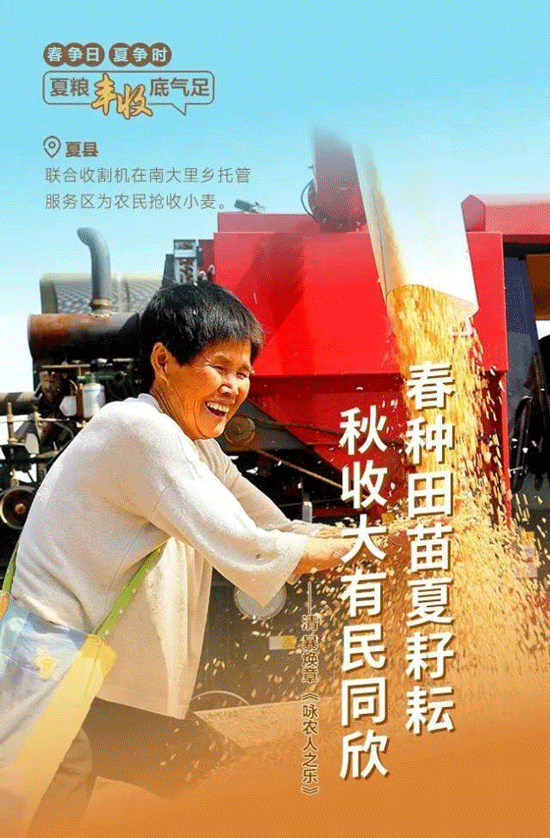 紙托盤