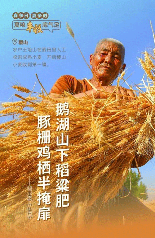 紙托盤